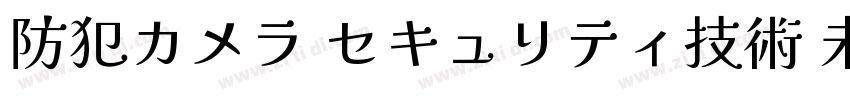 防犯カメラ セキュリティ技術 未来の防犯字体转换